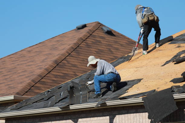 Best Asphalt Shingle Roofing  in Howland Center, OH